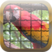 Pic N' Mix:Shaker